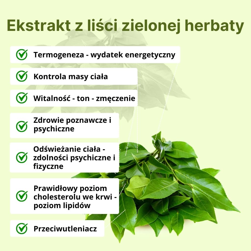 (Polština) - 2024-07-07T202733.303